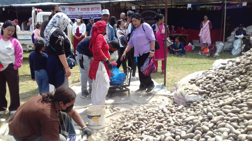 आलु महोत्सवमा बढ्दो सहभागिता